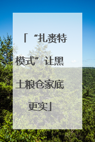 “扎赉特模式”让黑土粮仓家底更实